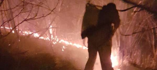 Incêndio florestal em Santa Quitéria é debelado pelo CBMCE Secretaria