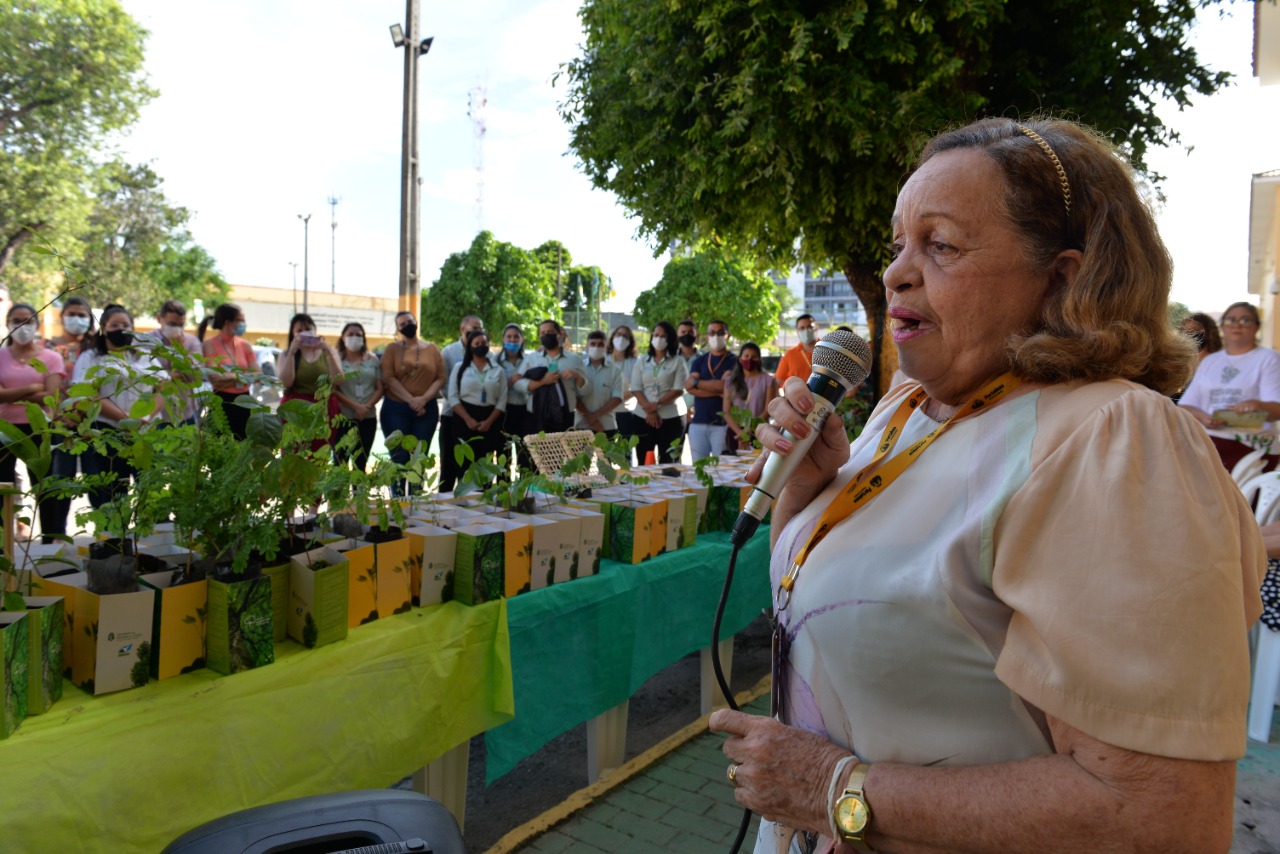 Festival Das Rvores Mudas Nativas S O Entregues A Servidores Da