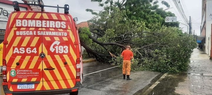 Corpo de Bombeiros realiza mais de 300 cortes de árvores em situação de