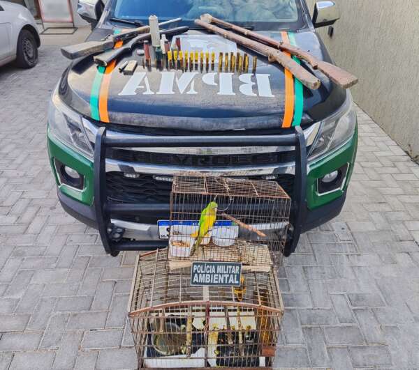 PMCE captura suspeito e apreende quatro armas de fogo e pássaros